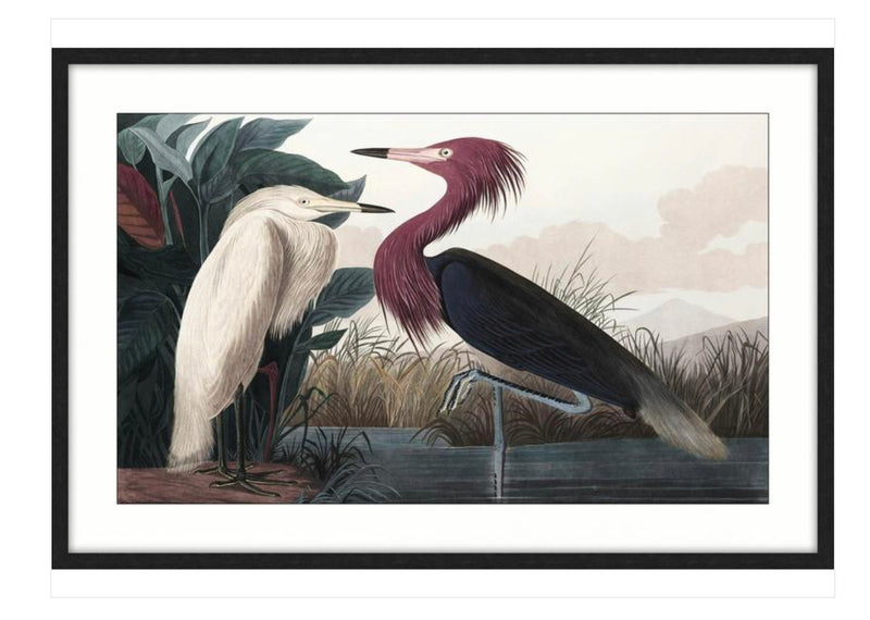 Framed Painting-Flutter I