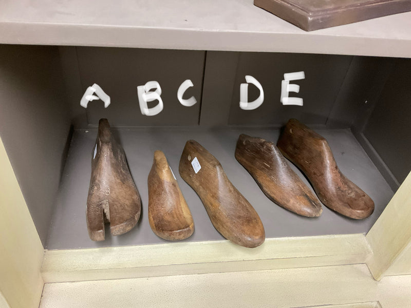 ORIGINAL SHOELAST - ASSORTED