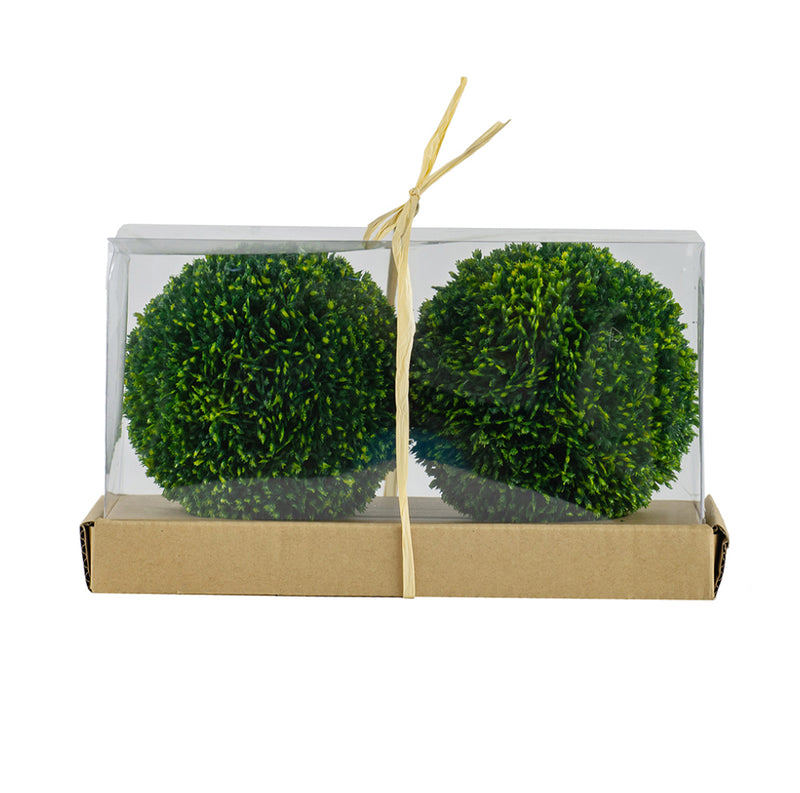 Faux Boxwood Decor in Box S/2 15cm