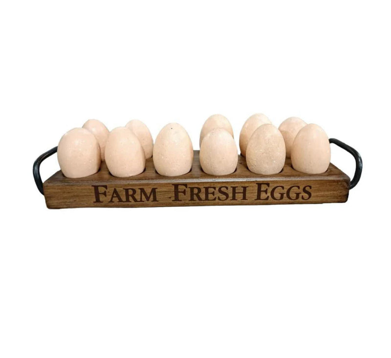 Egg Tray With Steel Handles