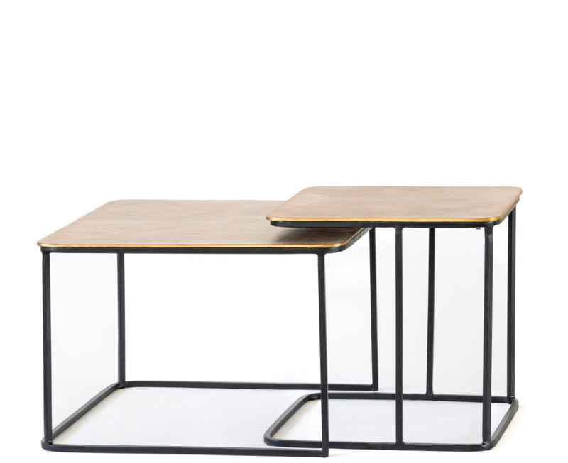 PARMA ALUMINIUM Coffee TABLE S/2