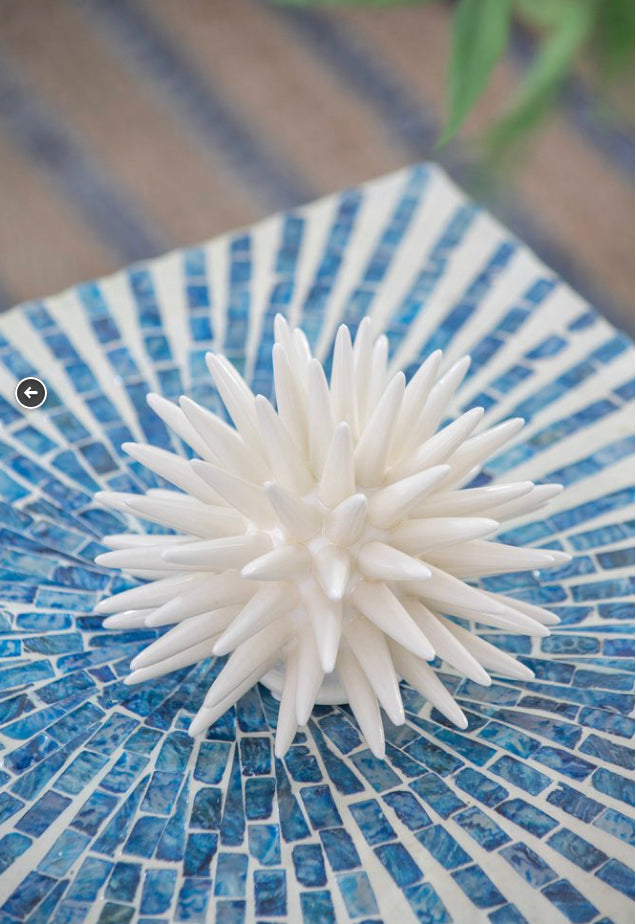 Vibrant Coral Accent