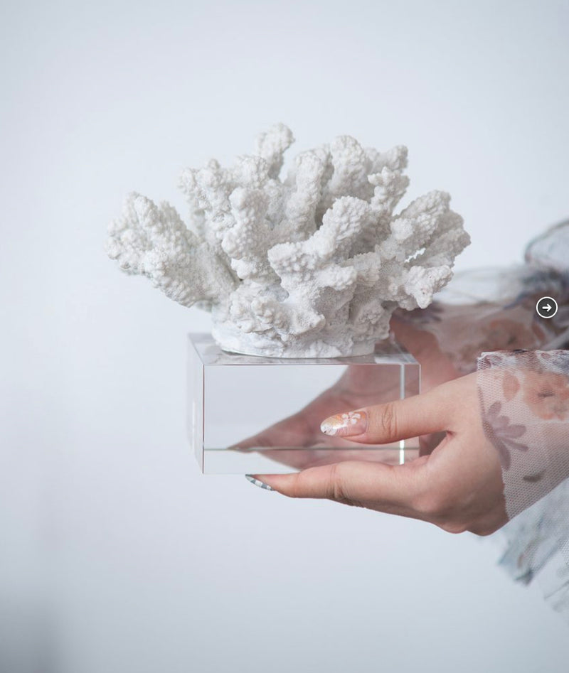 Inna Faux Rising Coral With Glass Base