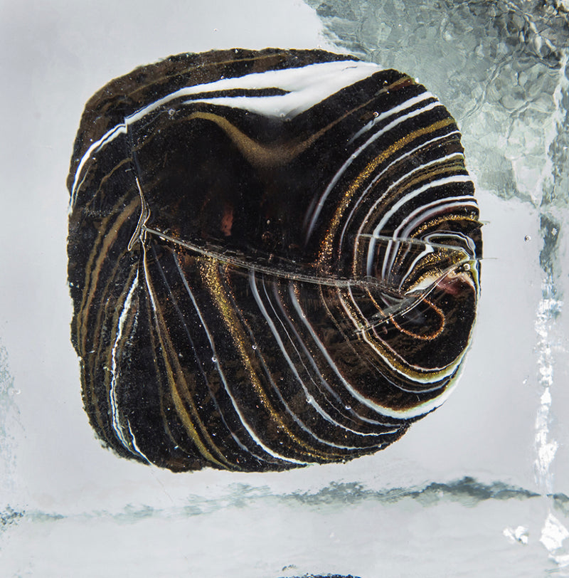 S/4 Handmade Glass Cubes