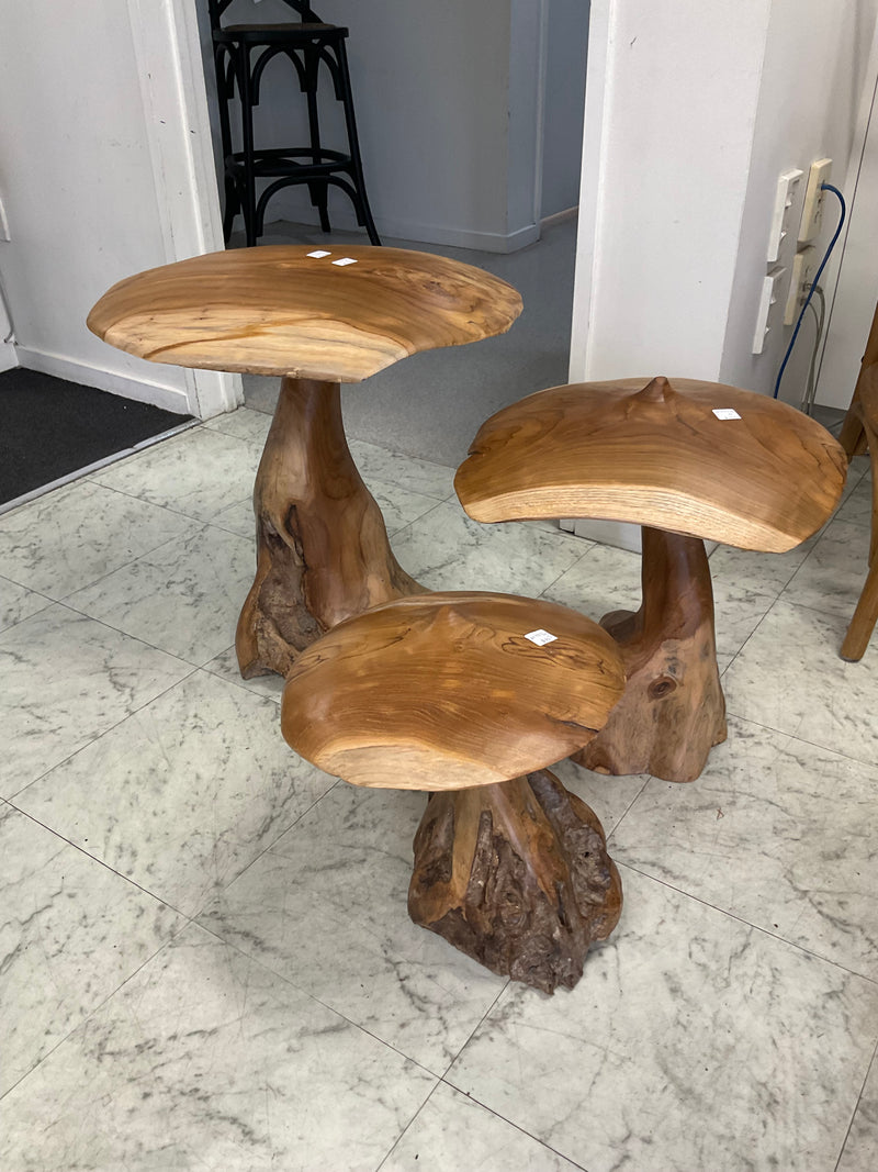 Solid Teak Mushroom Decor Set/3