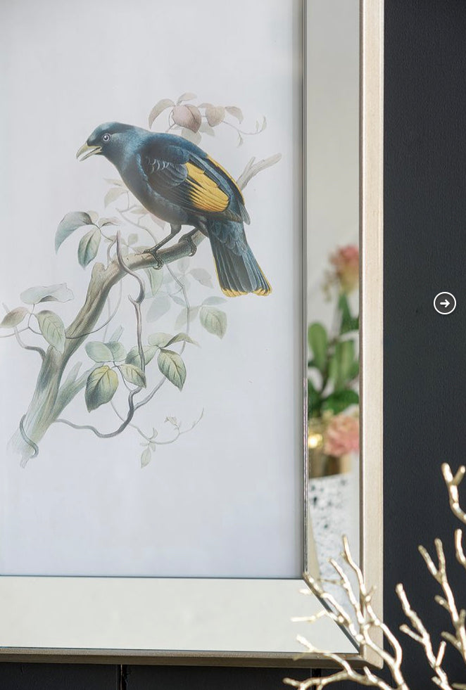 S/2 Bird Mirror Frame Print