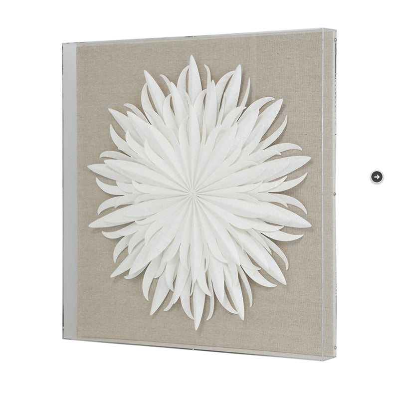 Altair Wall Art With Acrylic Box Frame