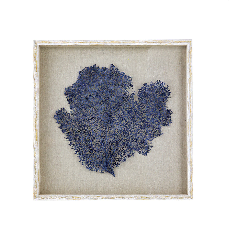 Framed Sea Fan Wall Art Navy