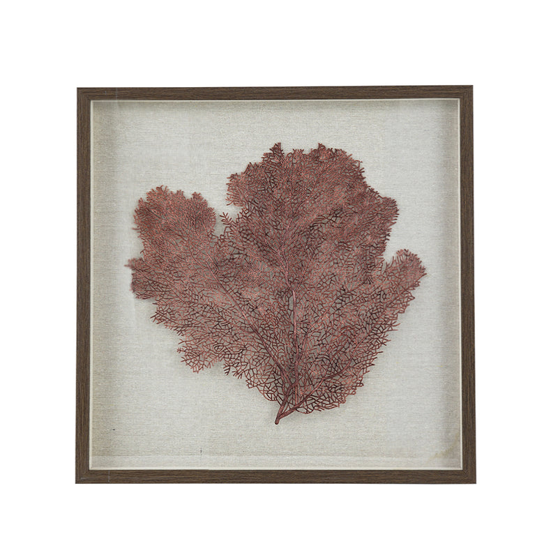 Framed Sea Fan Art Work Pink