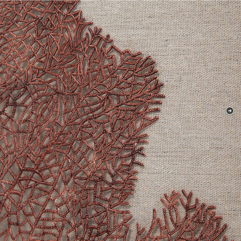 Framed Sea Fan Art Work Pink