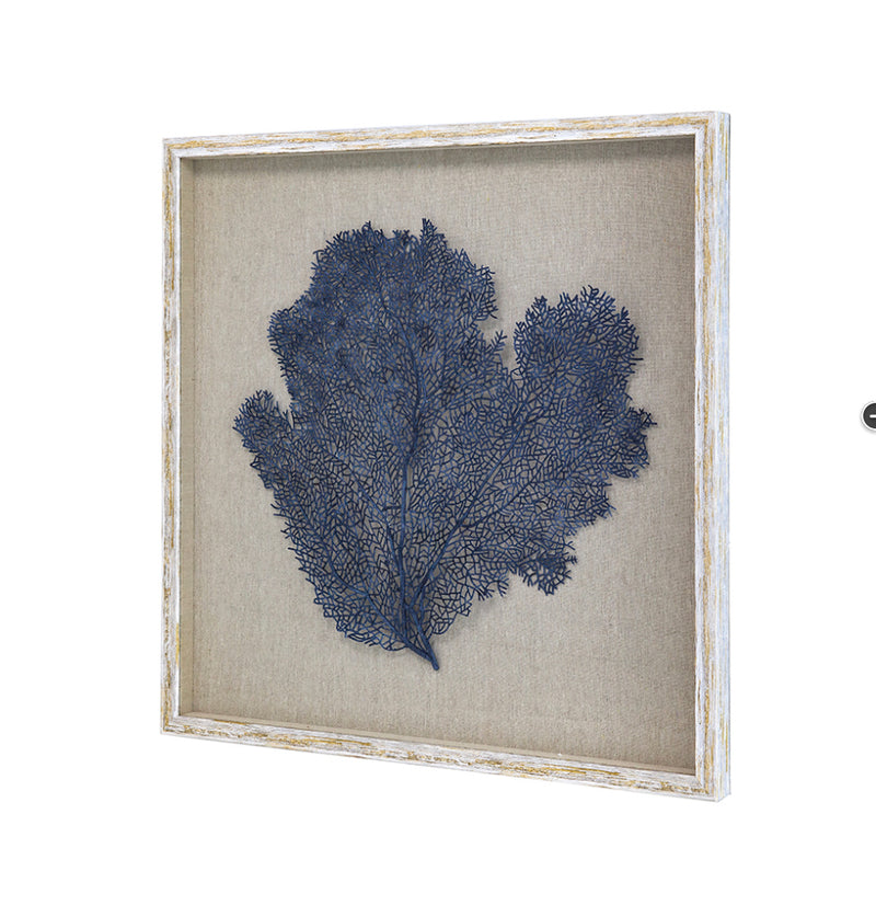 Framed Sea Fan Wall Art Navy