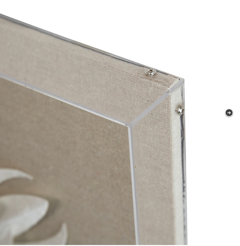 Altair Wall Art With Acrylic Box Frame