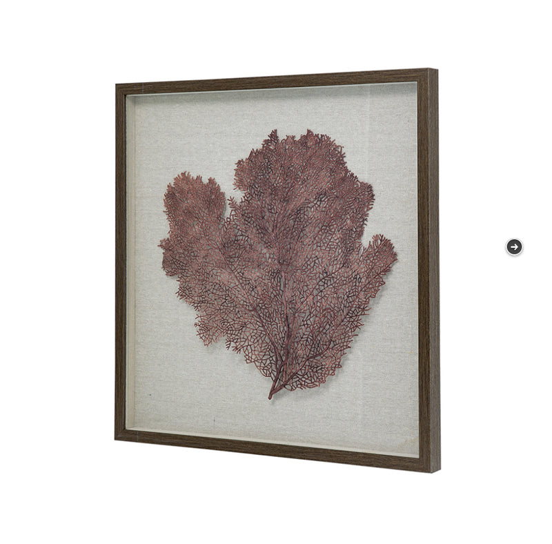 Framed Sea Fan Art Work Pink