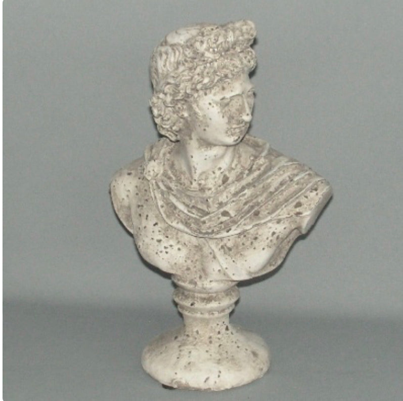 Terracotta Apollo Bust