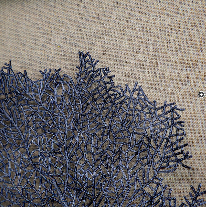 Framed Sea Fan Wall Art Navy